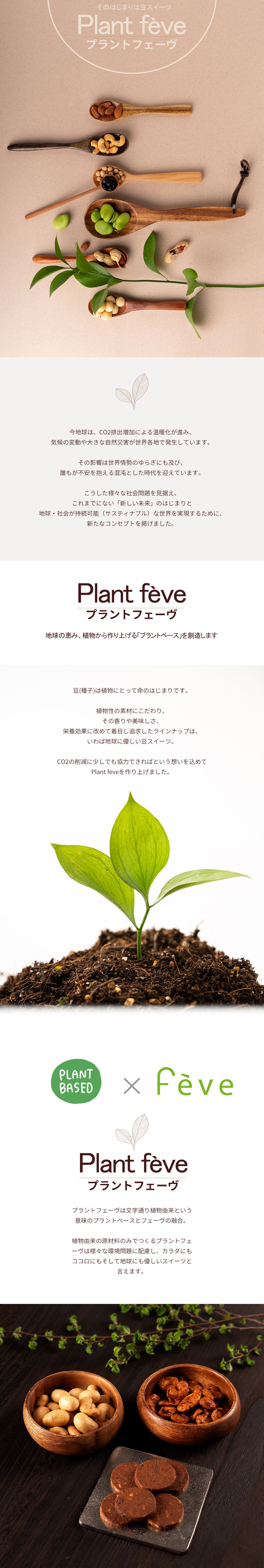 プラントフェーヴ説明